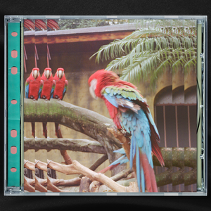 china SM虐之恋捆绑
